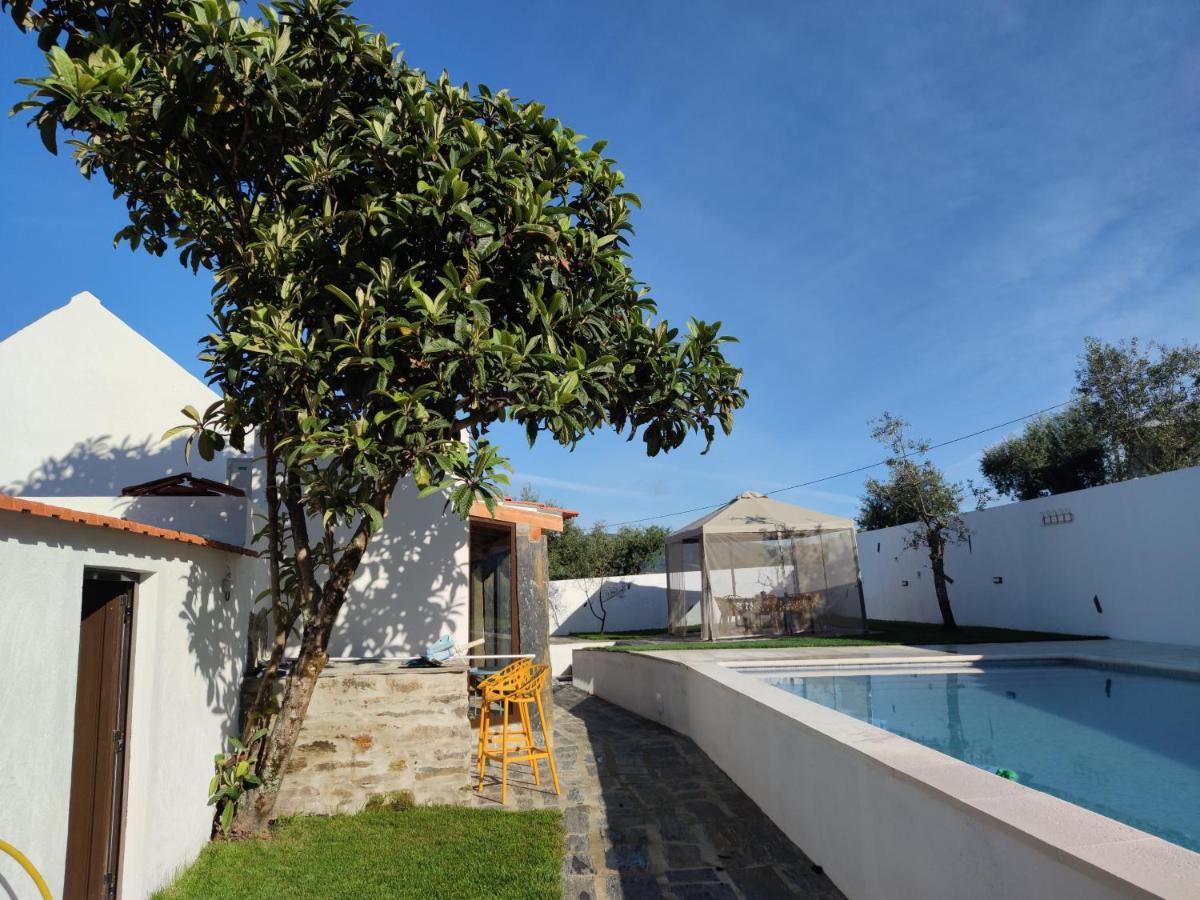 Pomar Das Oliveiras - Private Swimming Pool - Free Ev Chrg - Pet Friendly Carvalhal  Exterior foto