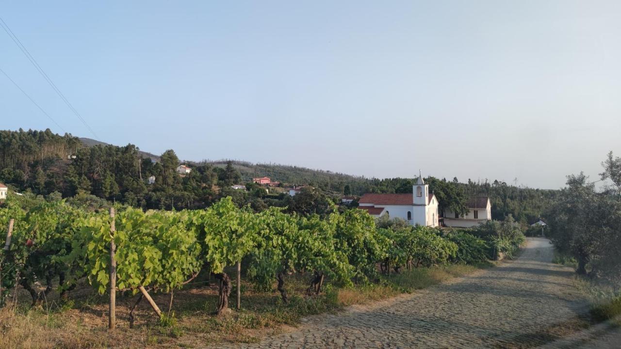 Pomar Das Oliveiras - Private Swimming Pool - Free Ev Chrg - Pet Friendly Carvalhal  Exterior foto